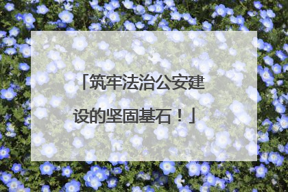 筑牢法治公安建设的坚固基石！